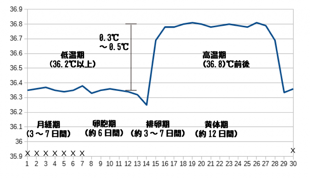 基礎体温の見方 あけぼの漢方 基礎体温の見方 あけぼの漢方